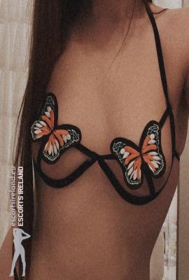 Velvet Aoife Escort Dundrum